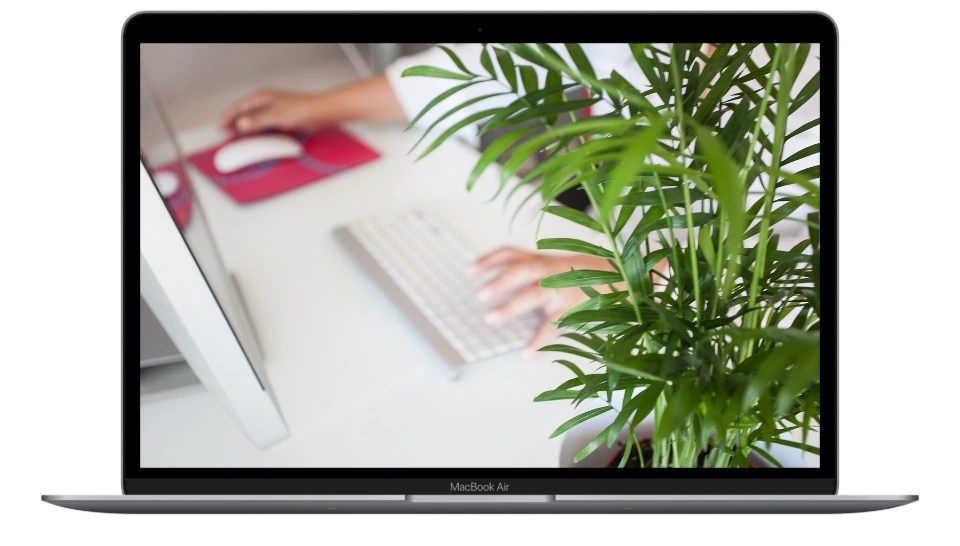 Asesoramiento A No Residentes